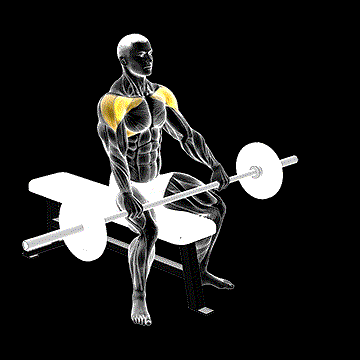 Barbell Seated Front Raise demonstration