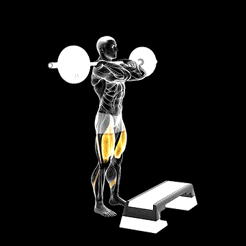 Barbell Front Step-Up demonstration