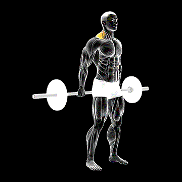 Barbell Behind-The-Back Shrug demonstration