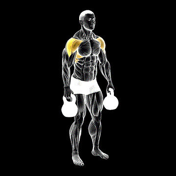 Kettlebell Lateral Raise demonstration