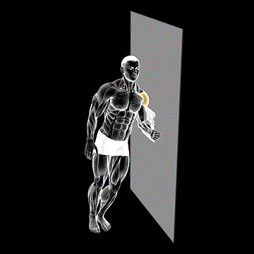 Lateral Raise (w/ Towel) demonstration