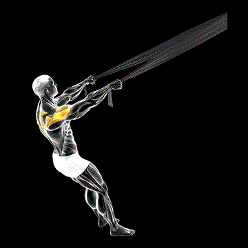 Rear Delt Fly (w/ Bed Sheet) demonstration