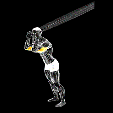 Overhead Triceps Extension (w/ Bed Sheet) demonstration
