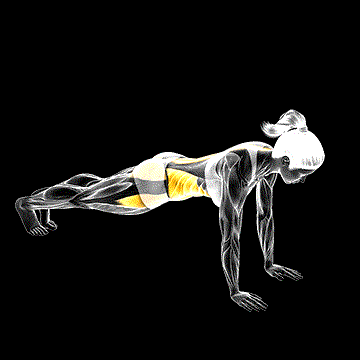 Front Plank Side Hop demonstration
