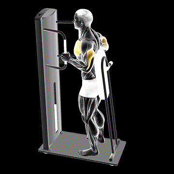 Lever Standing Chest Press demonstration