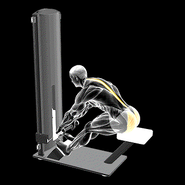 Lever Seated Good Morning demonstration