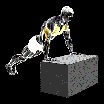 Incline Push-up (w/ Box) demonstration