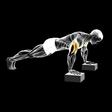Elevated Push-Up demonstration