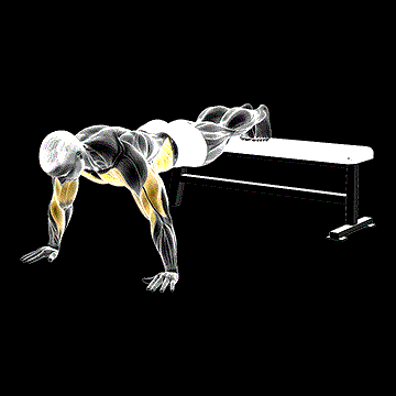 Decline Shoulder Tap demonstration