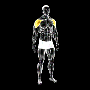 Mid-Air Lateral Raise (w/ Switching Palms) demonstration