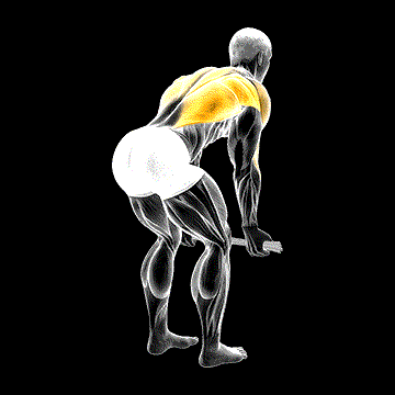Bent-over Row (w/ Towel) demonstration