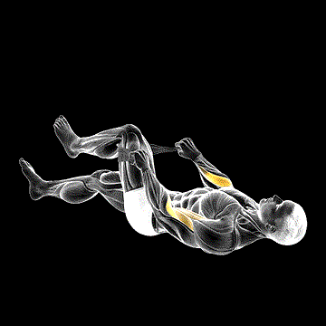 Lying One-Leg Reverse Bicep Curl (w/ Towel) demonstration