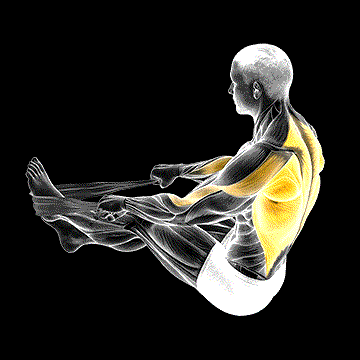Seated Row (w/ Towel) demonstration