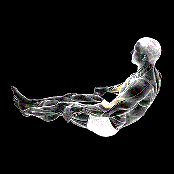 Two-Leg Reverse Bicep Curl (w/ Towel) demonstration