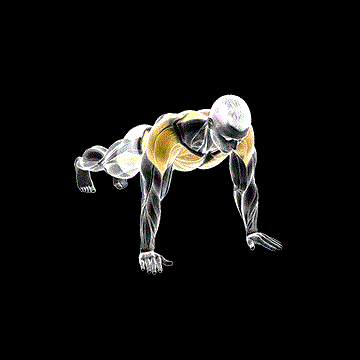 Plank Lateral Raise demonstration
