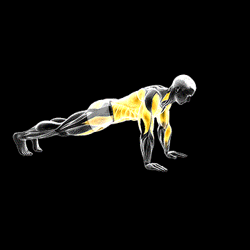 Front Plank Walkout demonstration
