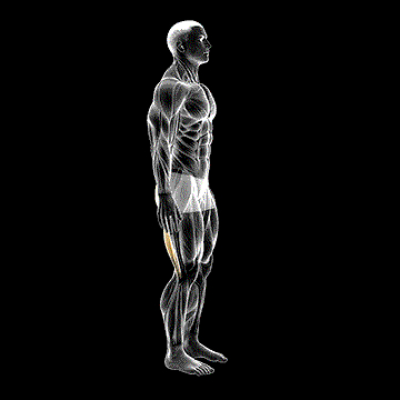 Standing Back Extension And Flexion demonstration