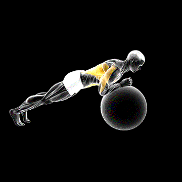 Exercise Ball Body Saw demonstration