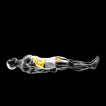 Sprinter Crunch demonstration