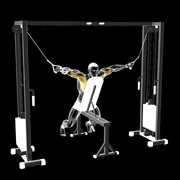 Cable Fly (w/ Chest Supported) demonstration