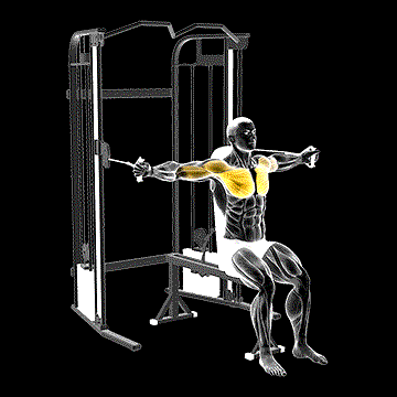 Cable Seated Chest Fly demonstration