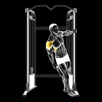 Cable Leaning Lateral Raise demonstration