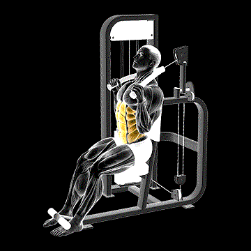 Lever Seated Full Crunch demonstration