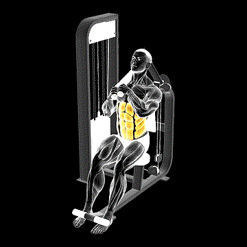 Lever Seated Left Side Crunch demonstration