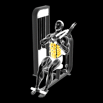 Lever Seated Right Side Crunch demonstration