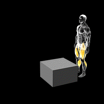 Jump Box Over demonstration
