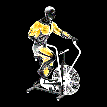 Assault Bike Run demonstration