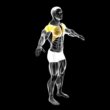 Arm Circles demonstration