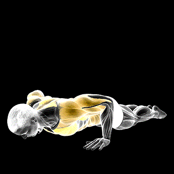 Bodyweight Kneeling Push-up Row demonstration