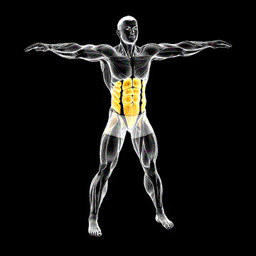 Bodyweight Windmill demonstration