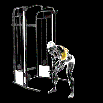 Cable Bent-over One-Arm Lateral Raise demonstration