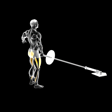 Landmine Rear Lunge demonstration