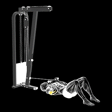 Cable Triceps Pushdown on Floor demonstration