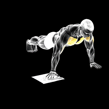Side Push-up (w/ Towel) demonstration