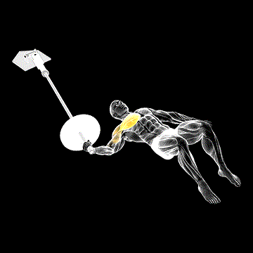 Landmine Floor One-Arm Chest Fly demonstration