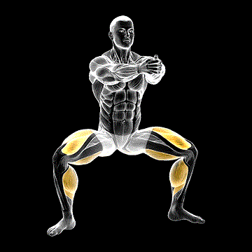 Squat Tip Toe demonstration
