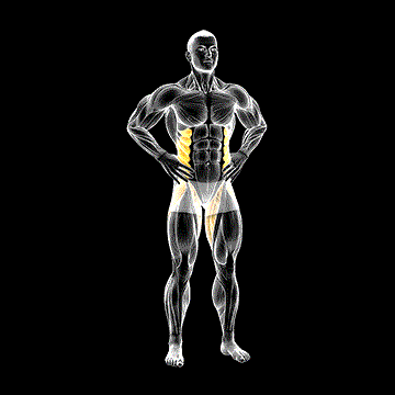 Standing Side Leg Raise demonstration