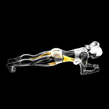 Side Step Front Plank demonstration