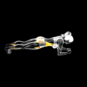 Forward Step Front Plank demonstration