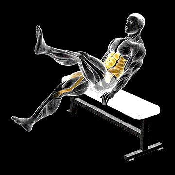 Seated Flutter Kick demonstration