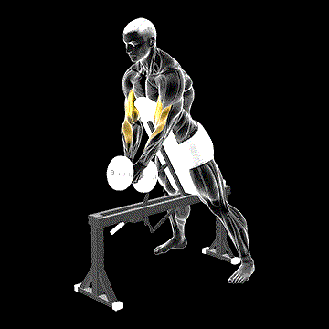 Dumbbell Single Spider Curl (w/ Chest Support) demonstration