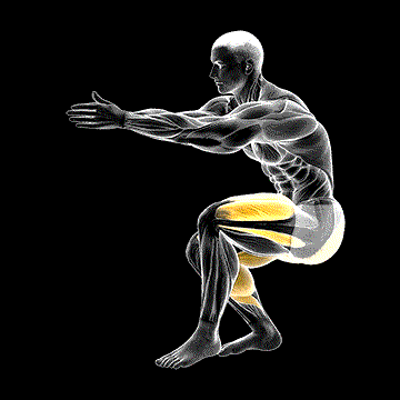 Static Lunge Kick demonstration
