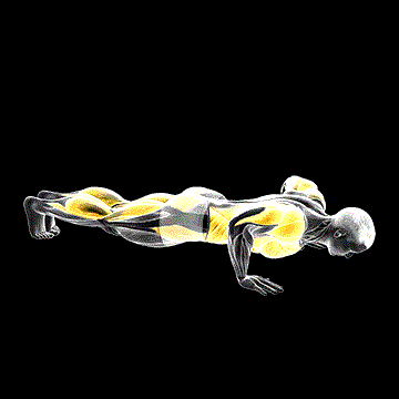 Push-up Toe Touch demonstration