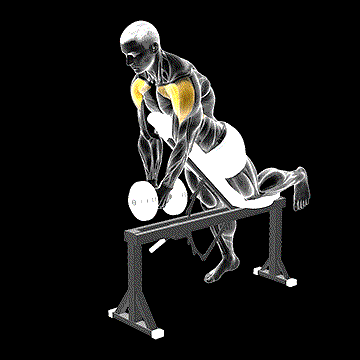Dumbbell Incline Front Raise (w/ Chest Support) demonstration
