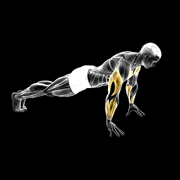 Finger Push-up demonstration