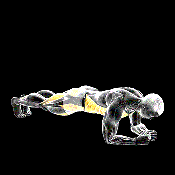 Leg Lift to Chest Front Plank demonstration